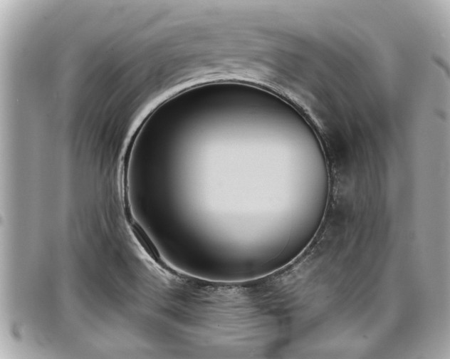 X0000098001516200803241330