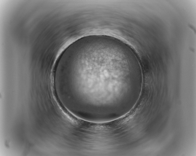 X0000098001517200803241330