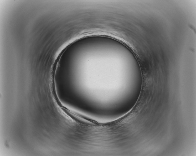 X0000098001518200803241330
