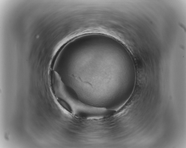 X0000098001519200803241330