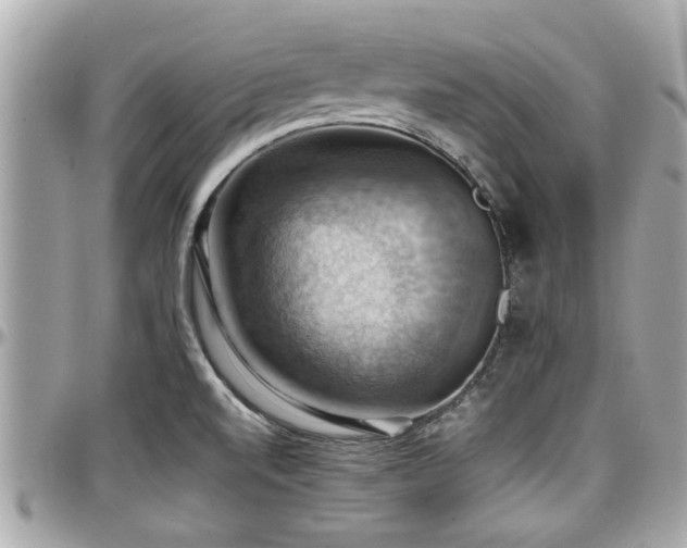 X0000098001520200803241330