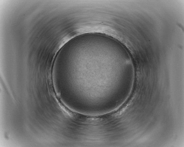 X0000098001521200803241330
