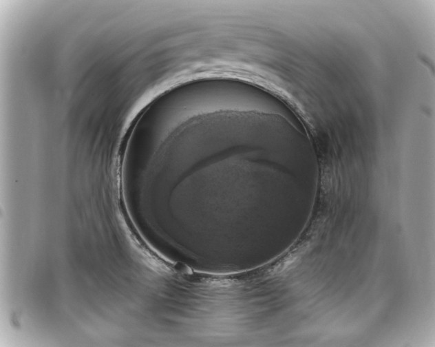 X0000098001522200803241330