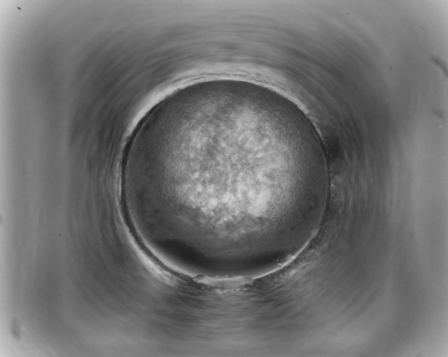 X0000098001523200803241330