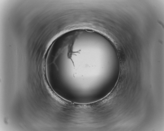 X0000098001526200803241330