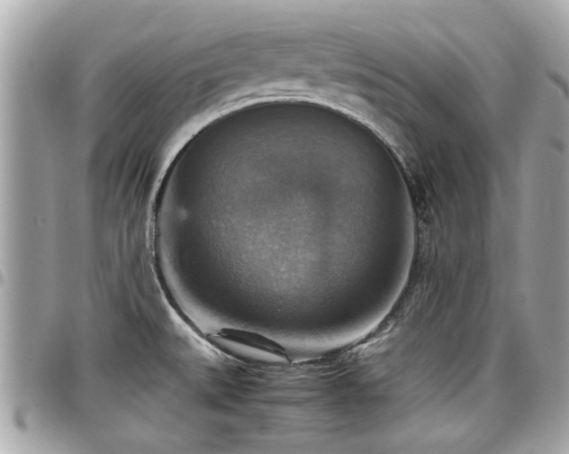 X0000098001527200803241330