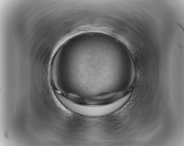 X0000098001528200803241330