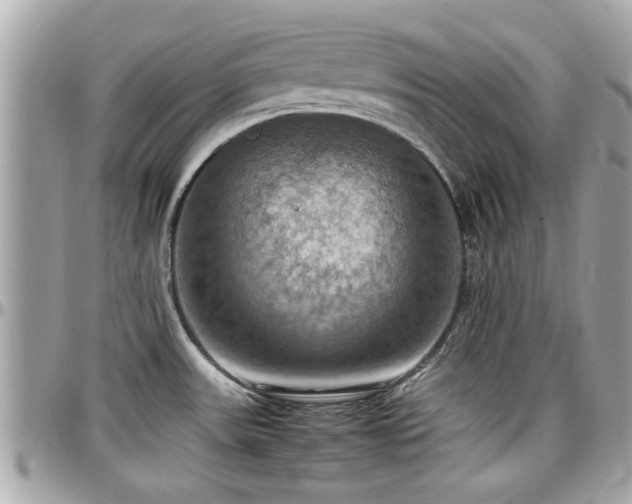 X0000098001531200803241330