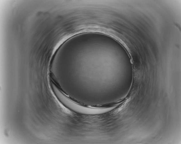 X0000098001533200803241330