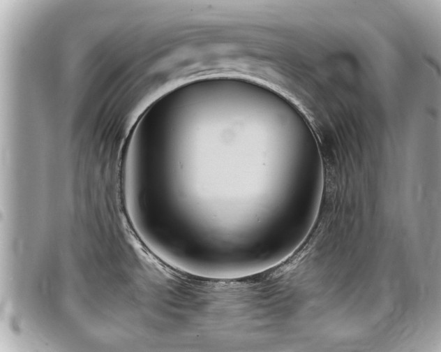 X0000098001534200803241330