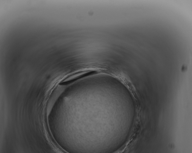 X0000098000001200804011843