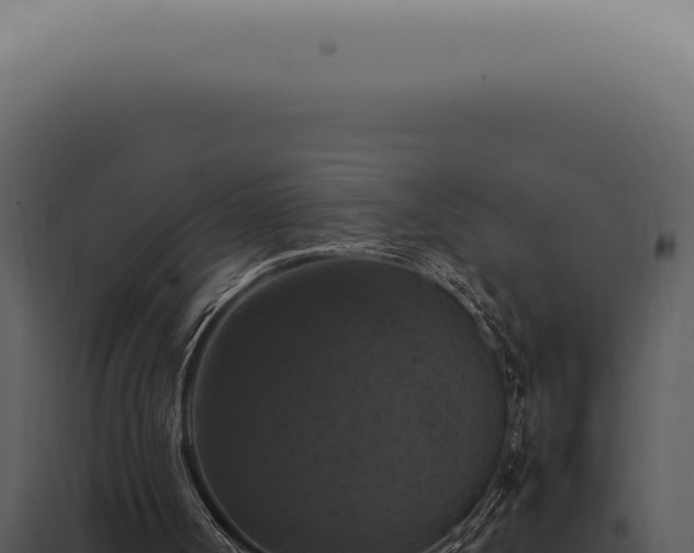 X0000098000002200804011843
