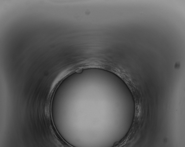 X0000098000004200804011843