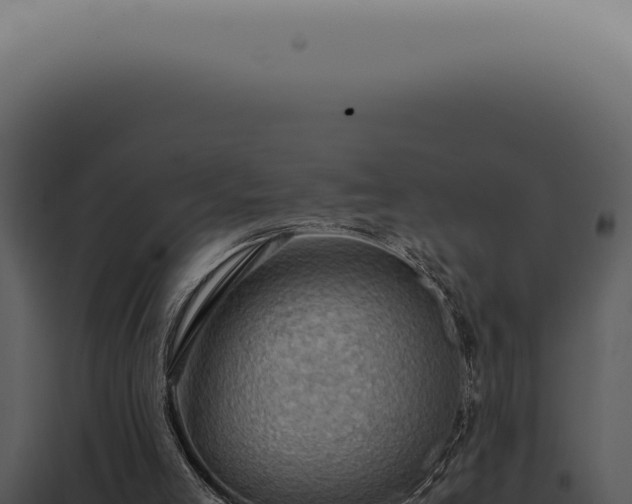 X0000098000005200804011843