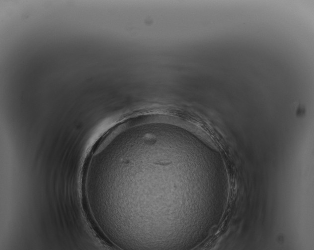 X0000098000006200804011843