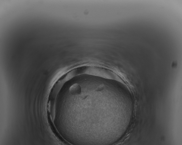 X0000098000007200804011843