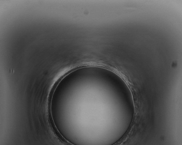 X0000098000008200804011843
