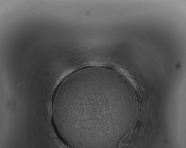 X0000098000011200804011843