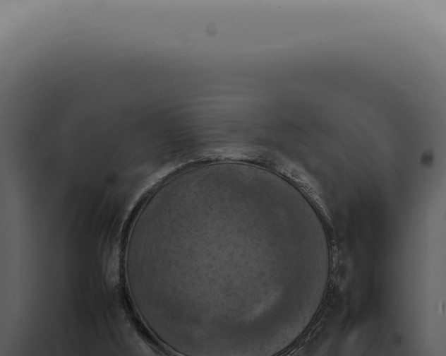 X0000098000012200804011843