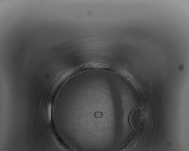 X0000098000014200804011843
