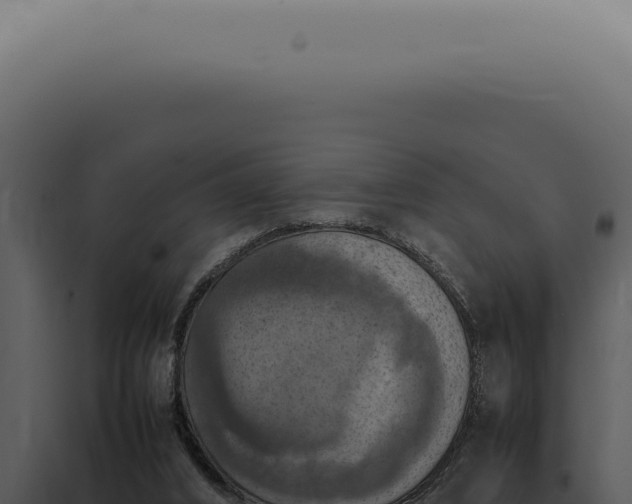 X0000098000016200804011843
