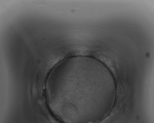 X0000098000017200804011843