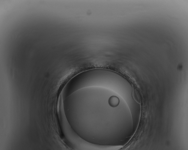 X0000098000019200804011843
