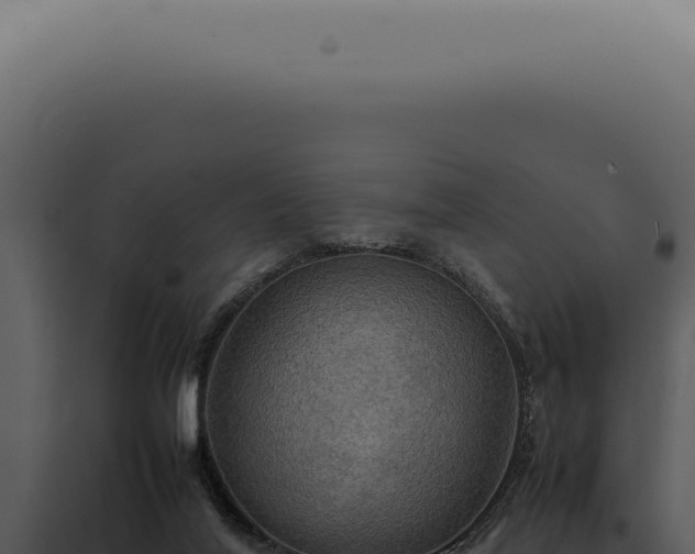 X0000098000020200804011843
