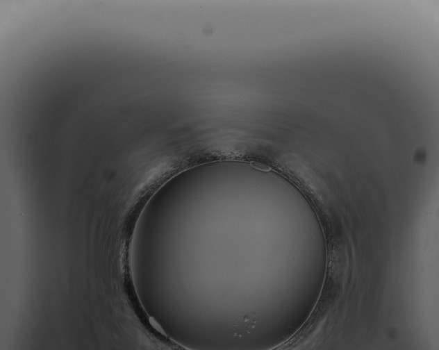 X0000098000023200804011843
