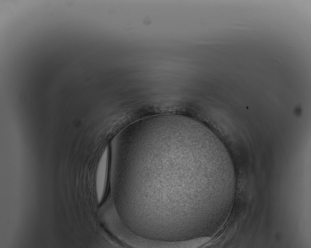 X0000098000025200804011843