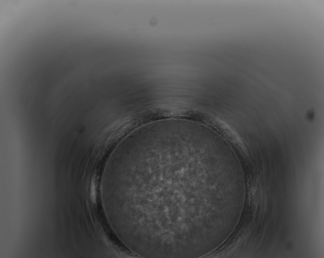 X0000098000026200804011843