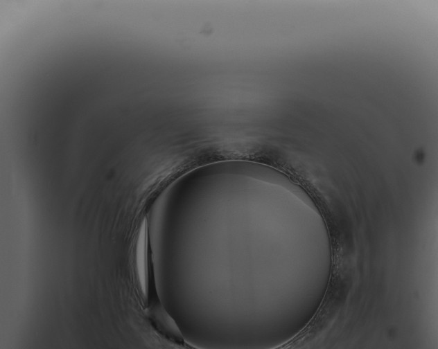 X0000098000027200804011843