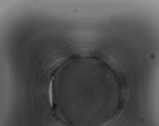 X0000098000029200804011843