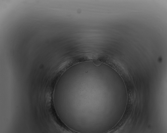 X0000098000032200804011843