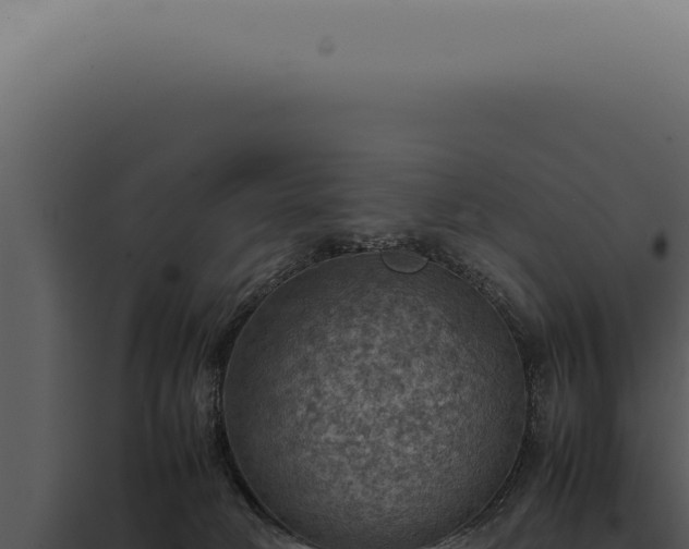X0000098000034200804011842