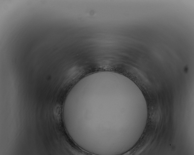 X0000098000036200804011842
