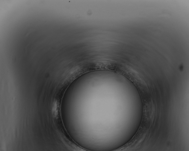 X0000098000038200804011842
