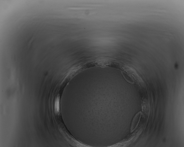 X0000098000046200804011842