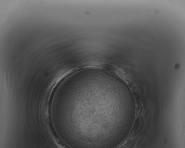 X0000098000050200804011841
