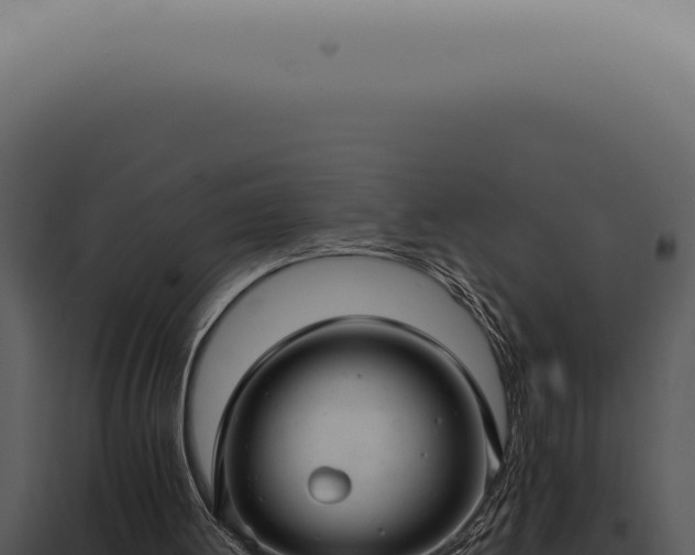 X0000098000052200804011842