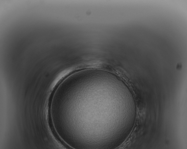 X0000098000054200804011842
