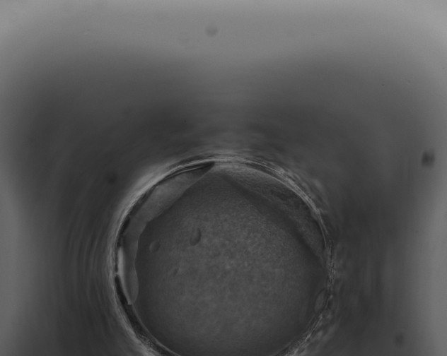 X0000098000055200804011842