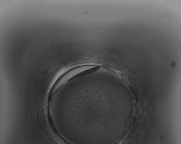 X0000098000056200804011842