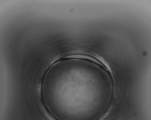 X0000098000057200804011842