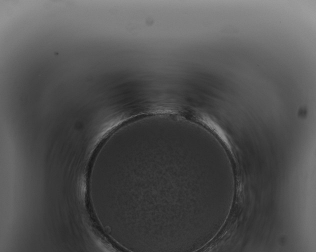 X0000098000059200804011842