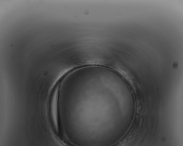 X0000098000060200804011842