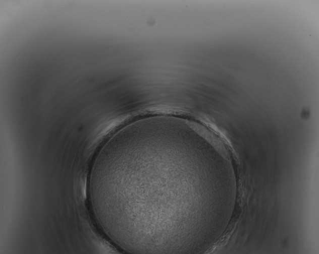X0000098000062200804011842