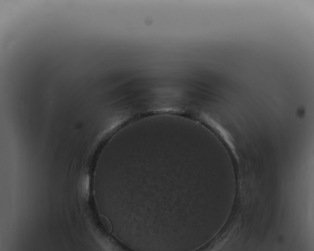 X0000098000067200804011842