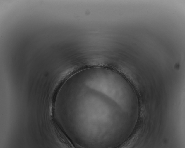 X0000098000068200804011842