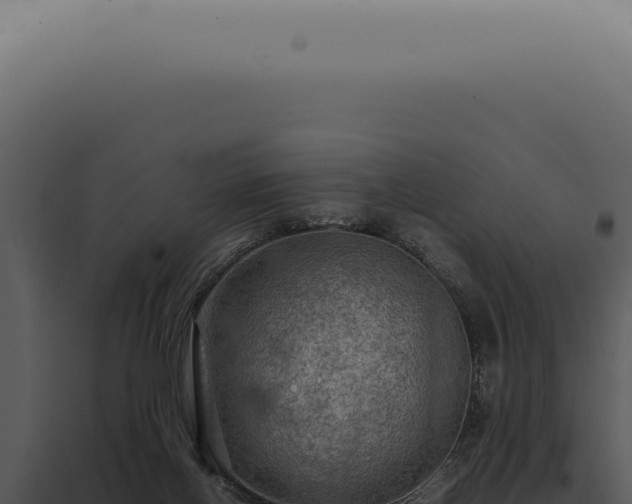 X0000098000070200804011842